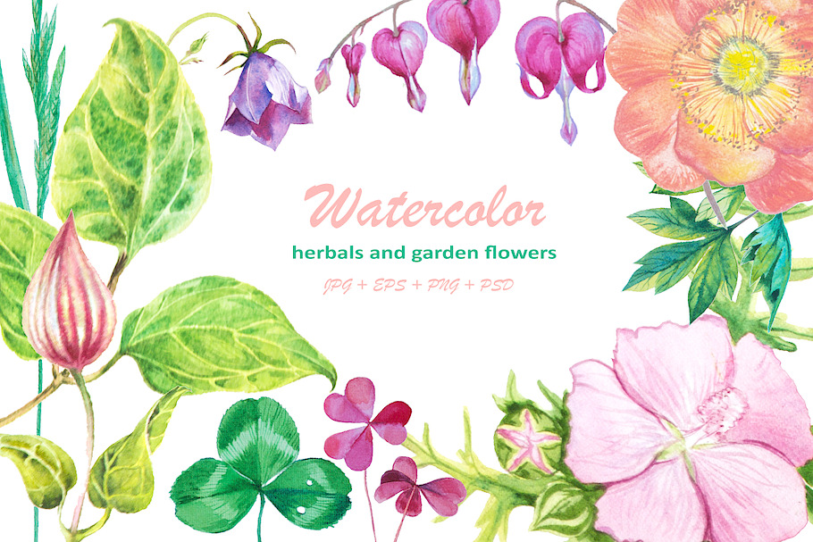 Watercolor herbals and flowers in Illustrations - product preview 8