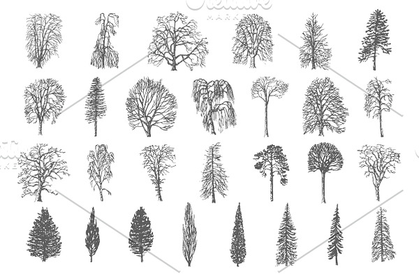 28 Ink trees vector set