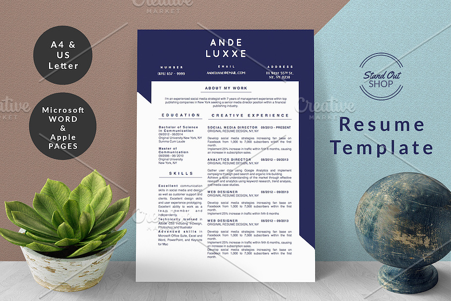 Ande Luxxe Resume MS Word Apple Page in Resume Templates - product preview 8