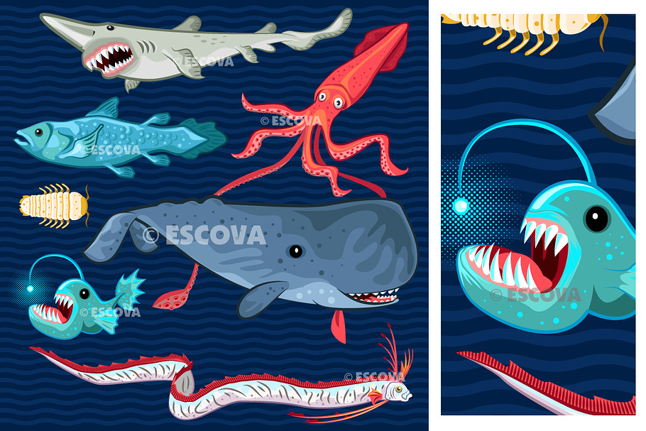 Fish Of The Deep Blue Sea Collection in Illustrations - product preview 8