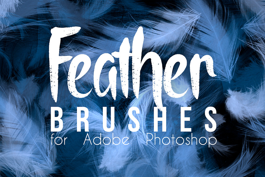 Real Feather Photoshop Brushes in Photoshop Brushes - product preview 8