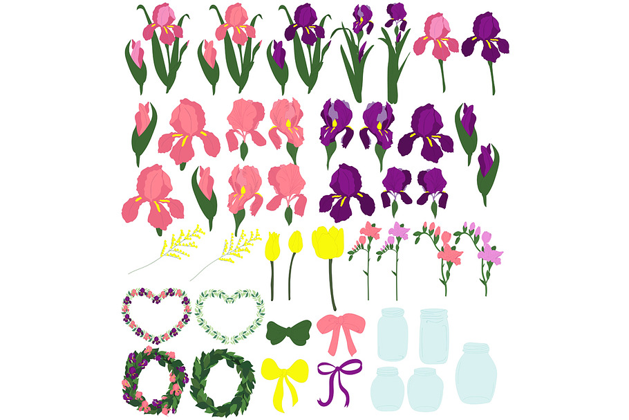 Set of irises, the individual parts