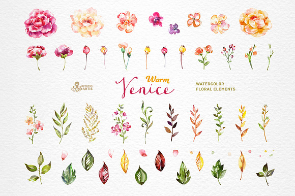 Warm Venice. Floral Collection in Illustrations - product preview 4