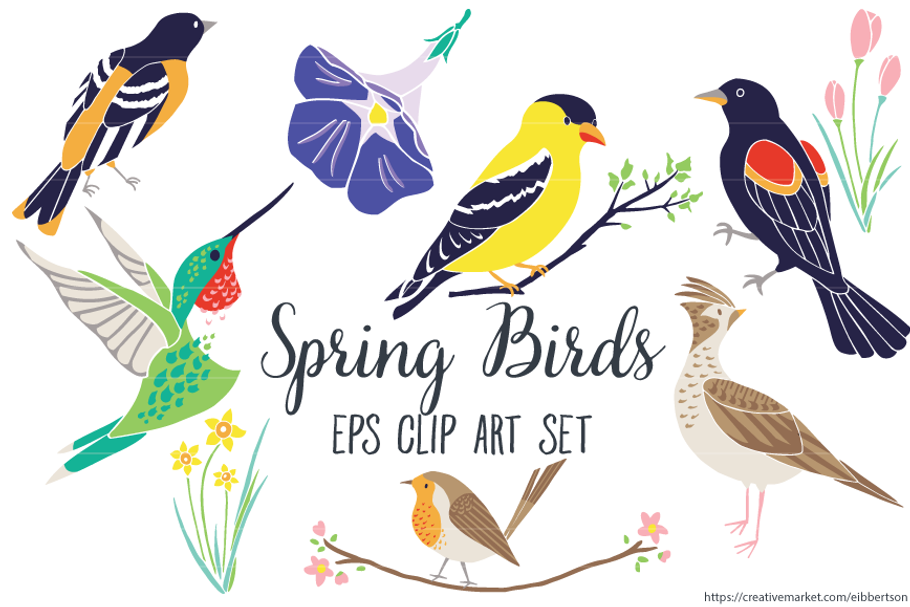 Spring Birds Clipart Vector EPS