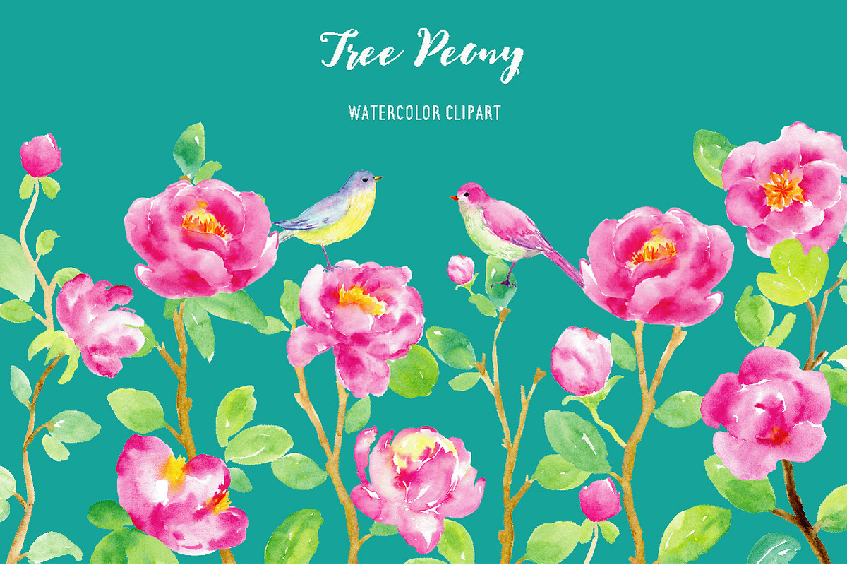 Watercolor Clipart Purple Tree Peony in Illustrations - product preview 8