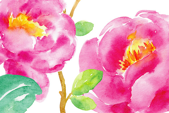 Watercolor Clipart Purple Tree Peony in Illustrations - product preview 2