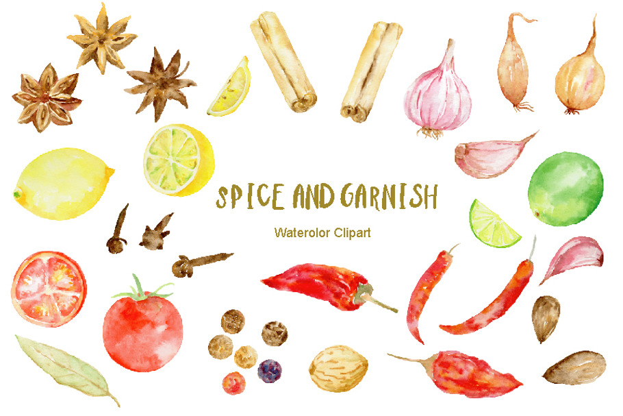Watercolor Clipart Spice and Garnish in Illustrations - product preview 8