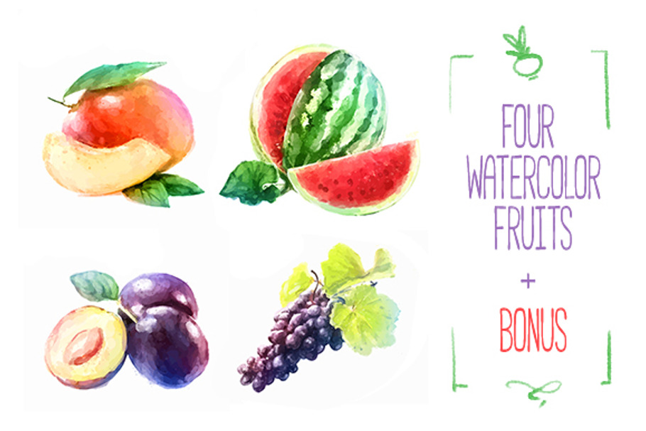 4 Watercolor fruits Vector + Bonus in Illustrations - product preview 8