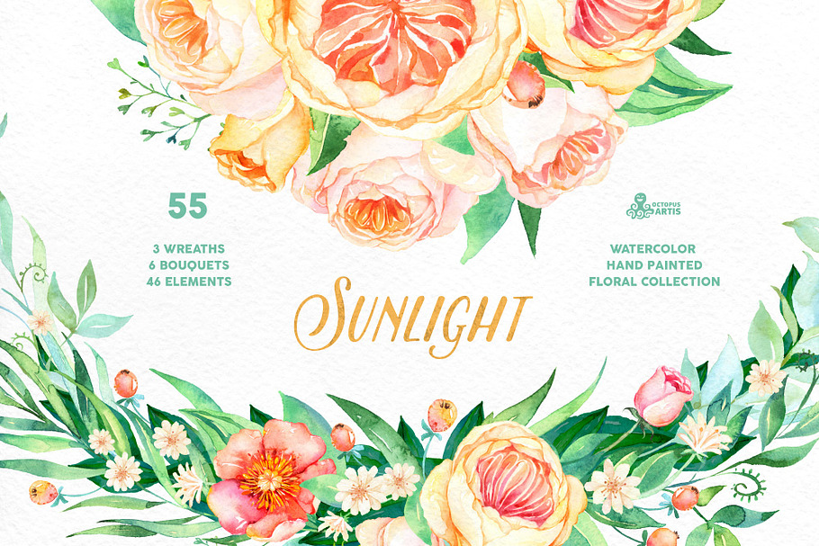 Sunlight. Floral Collection in Illustrations - product preview 8