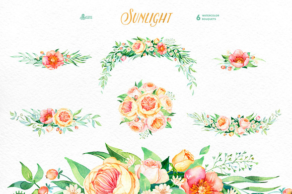 Sunlight. Floral Collection in Illustrations - product preview 1