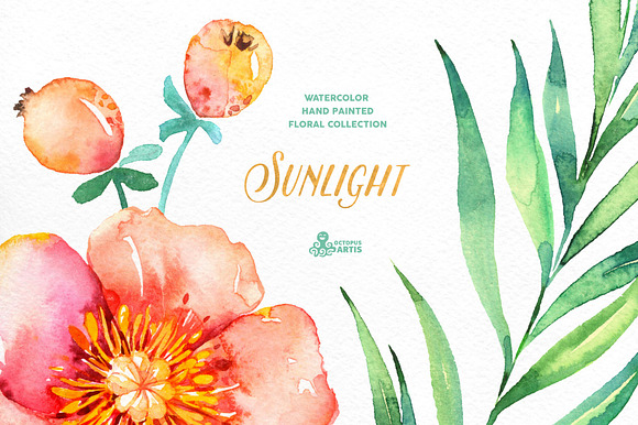 Sunlight. Floral Collection in Illustrations - product preview 2