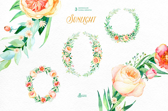 Sunlight. Floral Collection in Illustrations - product preview 3