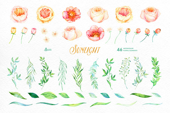 Sunlight. Floral Collection in Illustrations - product preview 4