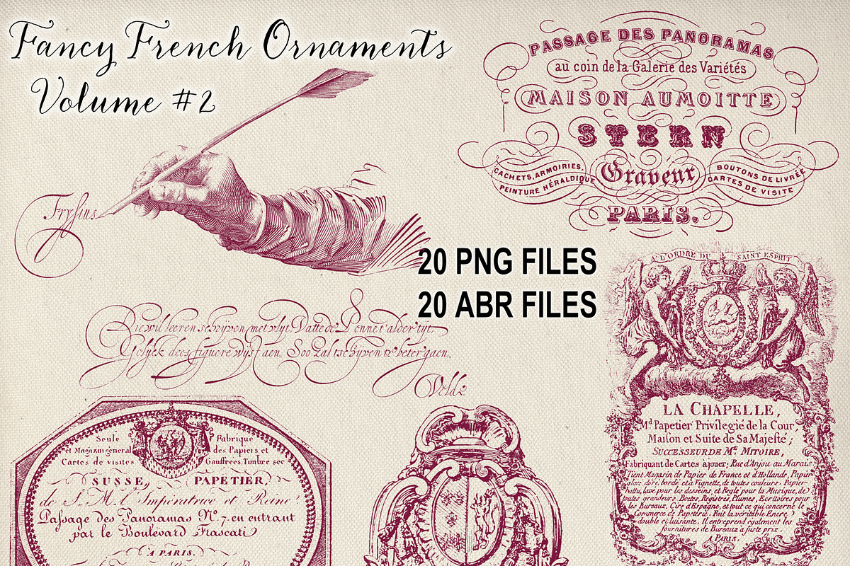 Vintage French Ornament Brushes #2 in Add-Ons - product preview 8