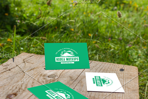 10 Fresh Business Card Mockups vol.1 in Product Mockups - product preview 10
