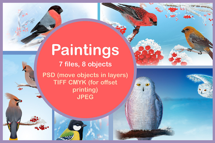 Winter Birds, part 2 in Illustrations - product preview 8