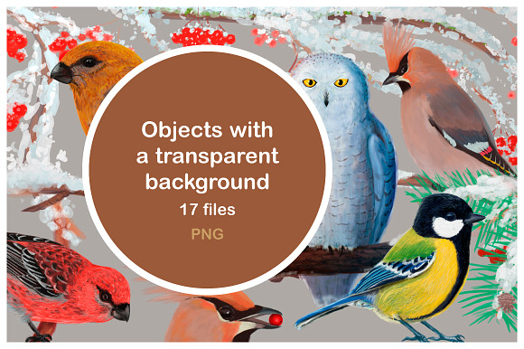 Winter Birds, part 2 in Illustrations - product preview 2