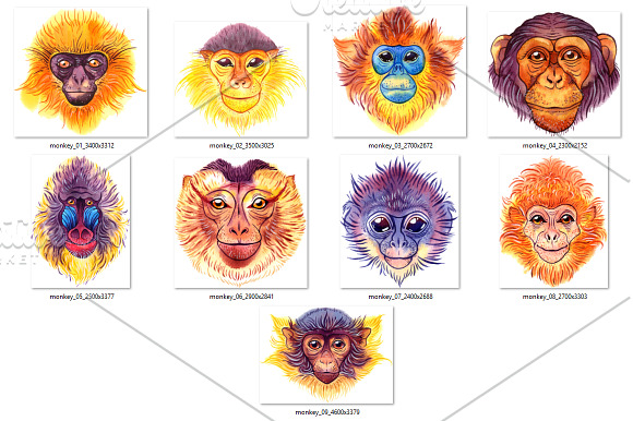 Watercolor monkeys in Illustrations - product preview 1