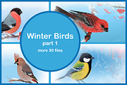 Winter Birds, part 1