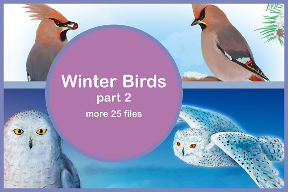 Winter Birds, part 2 in Illustrations - product preview 3