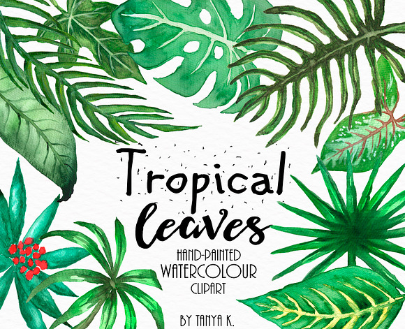 Tropical Leaves Watercolor Clipart in Illustrations - product preview 1