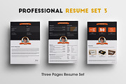 Professional Resume Set 3
