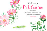 Watercolor Set, Pink Cosmos Flowers