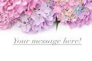 Styled Stock Photo Flower Banner