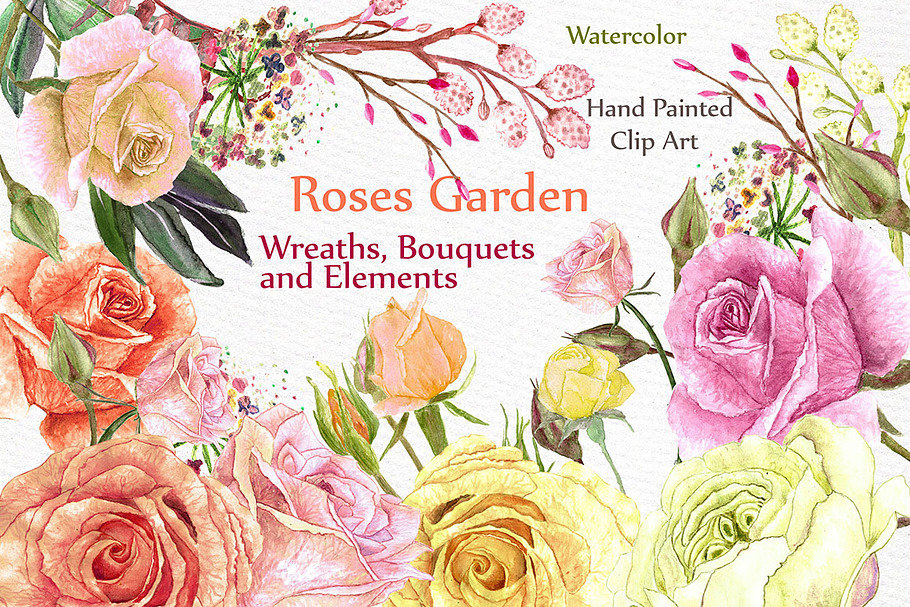 Watercolor roses clipart