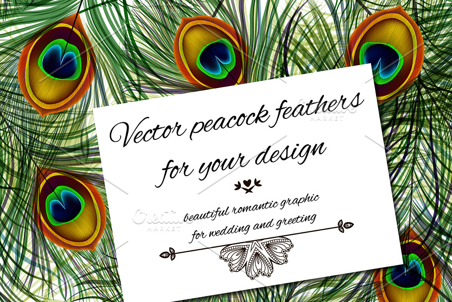 Vector peacock feather in Illustrations - product preview 8