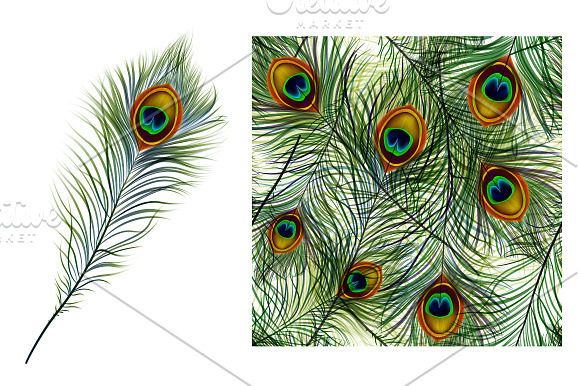 Vector peacock feather in Illustrations - product preview 2