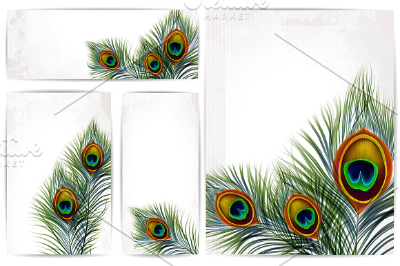 Vector peacock feather in Illustrations - product preview 4
