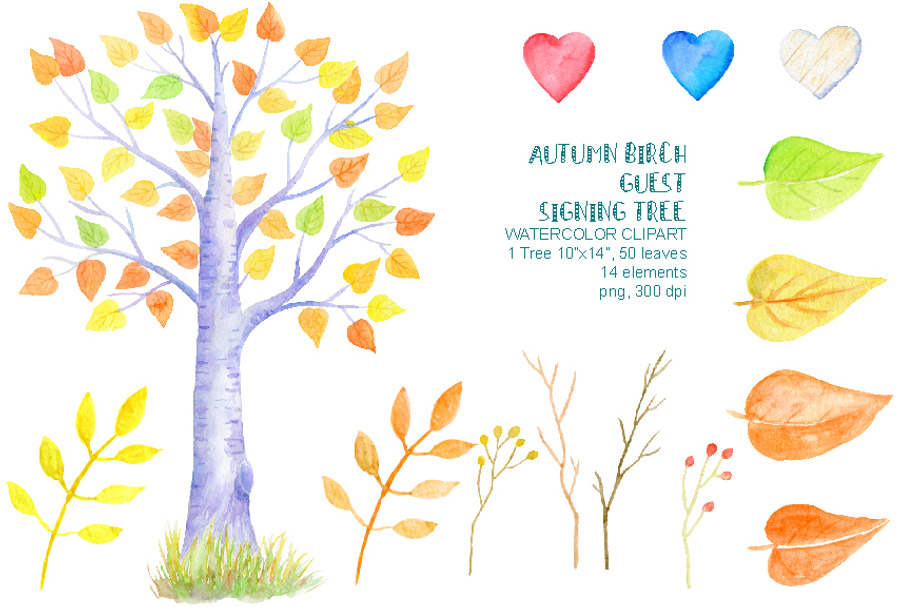 Autumn Birch Guest Signing Tree in Illustrations - product preview 8