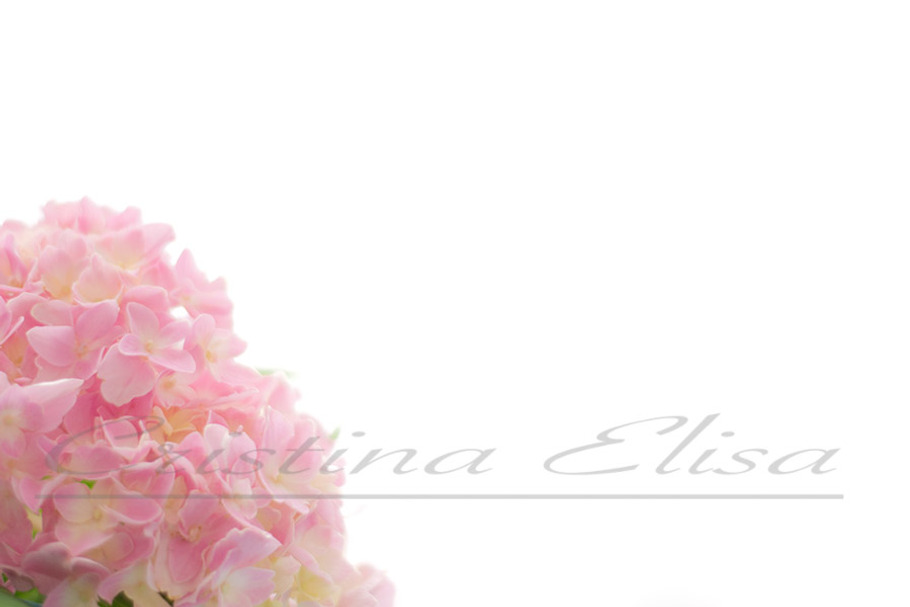 Pink Flower Styled Stock Photography