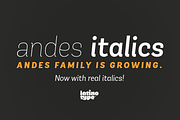 Andes Italic Family