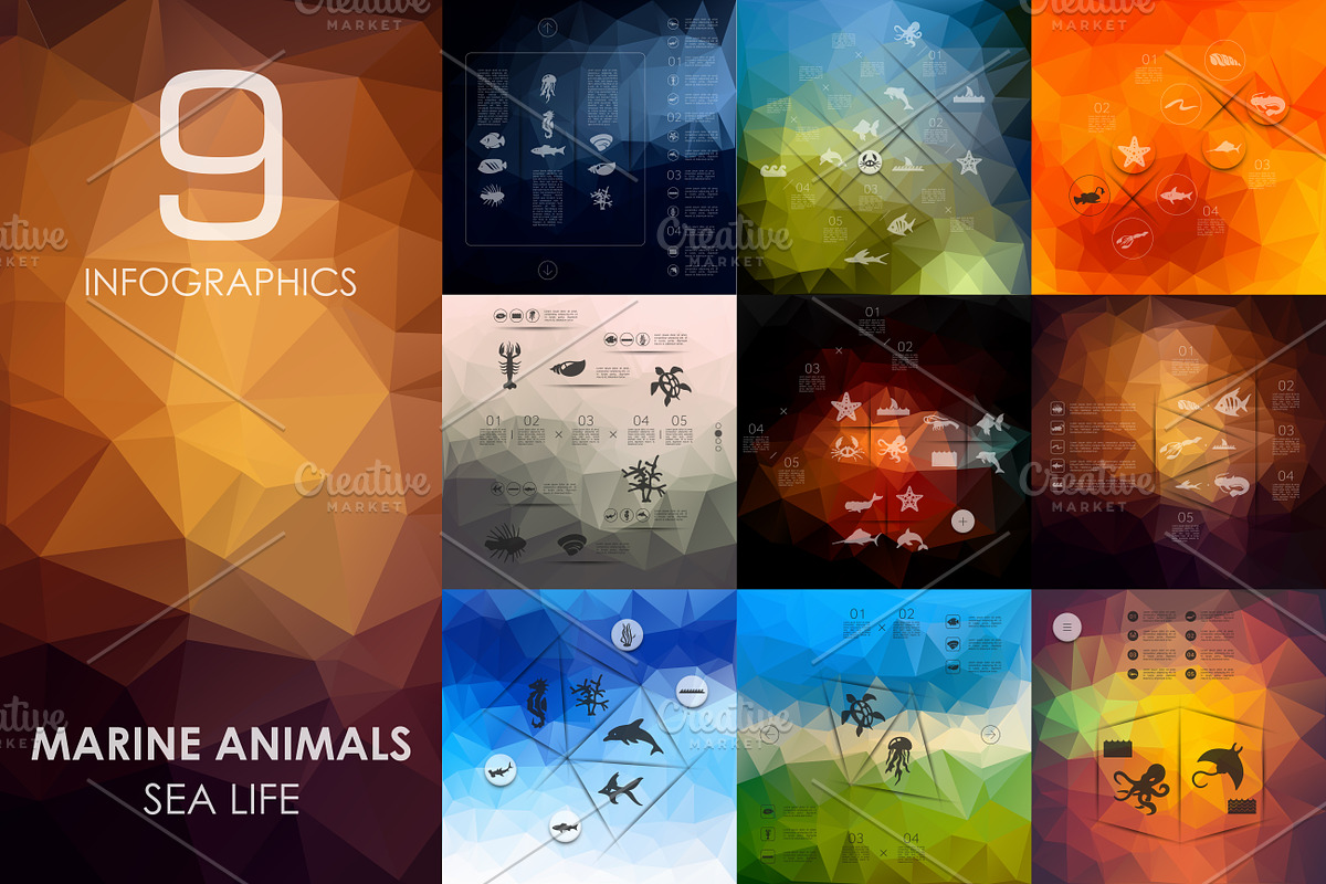 9 marine animals infographics in Presentation Templates - product preview 8