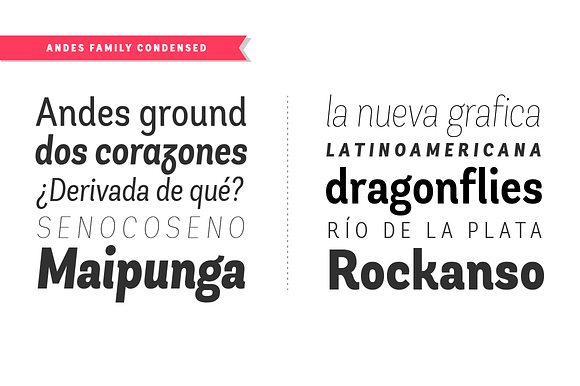 Andes Condensed Family in Sans-Serif Fonts - product preview 2