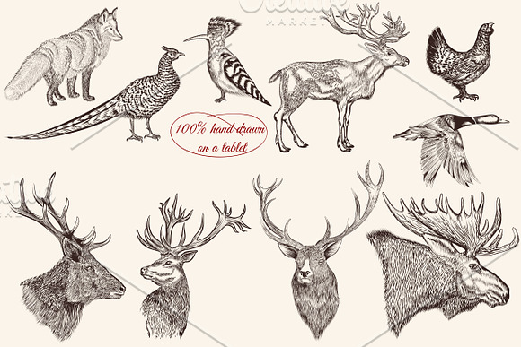Bundle from vector engraved animals in Objects - product preview 1