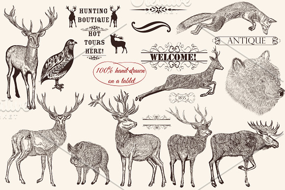 Bundle from vector engraved animals in Objects - product preview 2