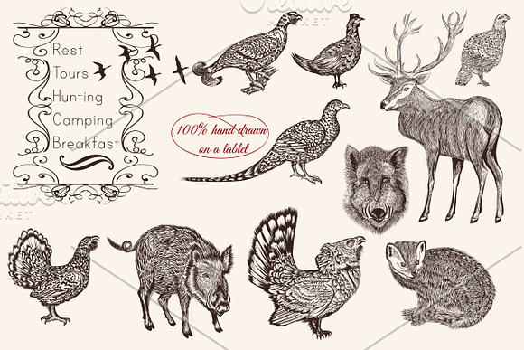 Bundle from vector engraved animals in Objects - product preview 3