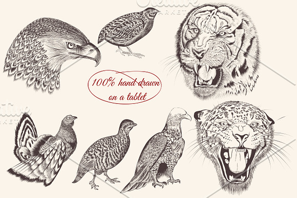Bundle from vector engraved animals in Objects - product preview 4