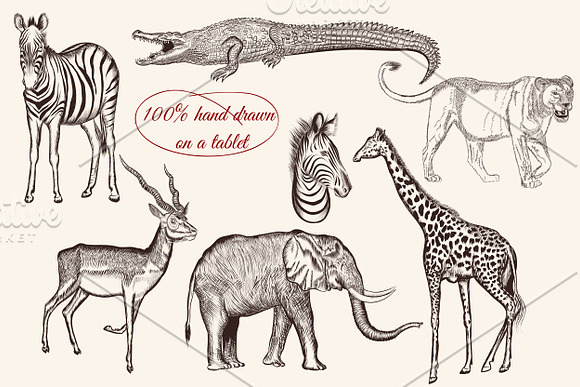 Bundle from vector engraved animals in Objects - product preview 5