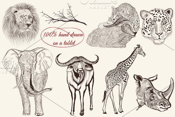Bundle from vector engraved animals in Objects - product preview 6