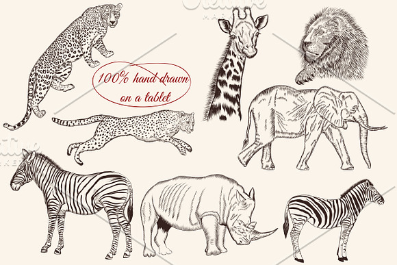 Bundle from vector engraved animals in Objects - product preview 7