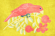 Bird sitting on a blooming pomegrana