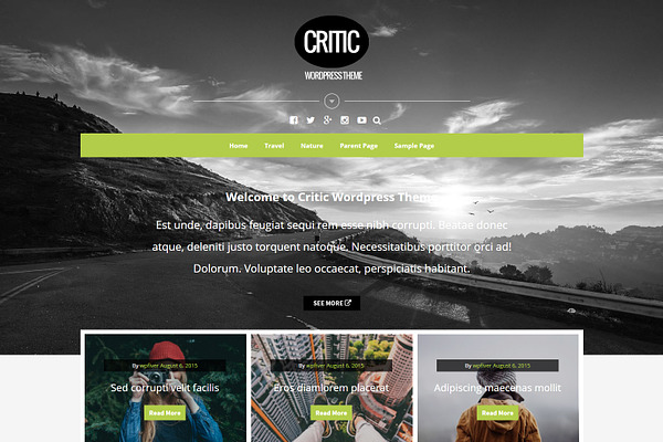 Critic - Responsive Blog WP Theme