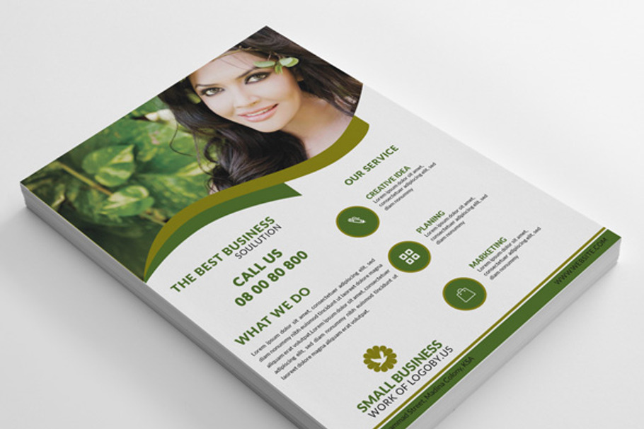 Small Business Flyer & Logo Design in Flyer Templates - product preview 8
