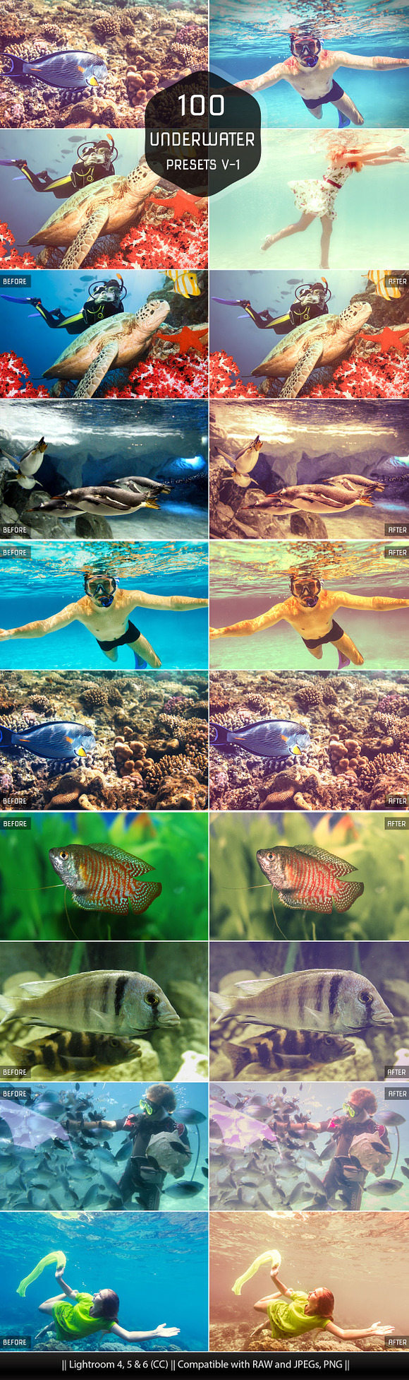 Underwater Lightroom Presets in Add-Ons - product preview 4