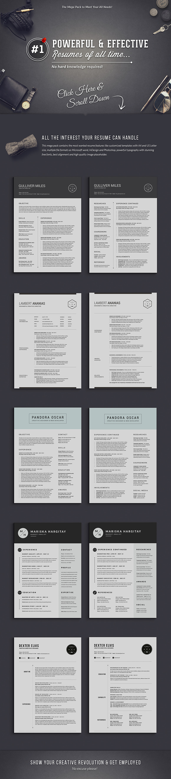 12 Top Selling Resume Mega Bundle in Resume Templates - product preview 1