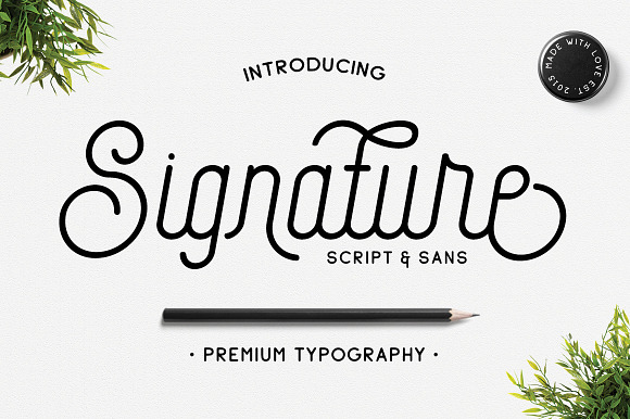 Signature Script & Sans in Script Fonts - product preview 1